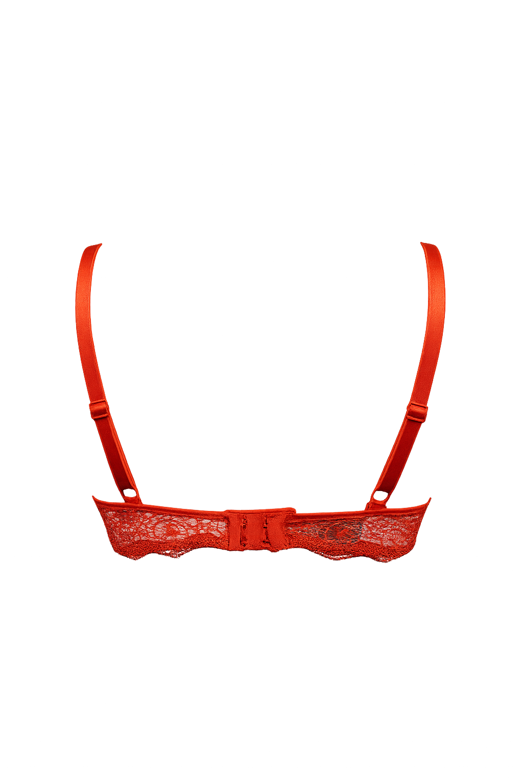 Soutien-gorge Passionata – Douceur satinée & sensualité vibrante